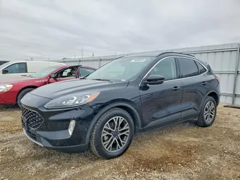 2020 Ford Escape 1FMCU9J96LUA80965 Lot 79609625