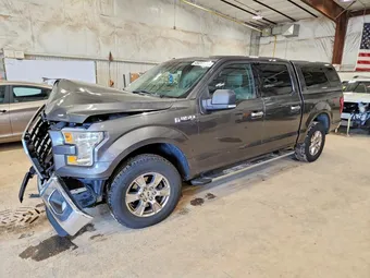 2015 Ford F-150 1FTEW1EF0FFB91206 Lot 49252546