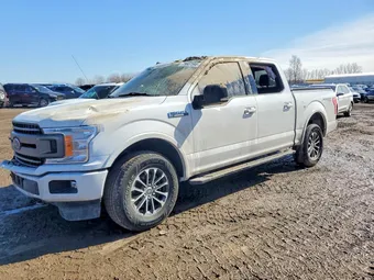 2019 Ford F-150 1FTEW1EP3KFB89811 Lot 79937595