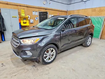 2017 Ford Escape 1FMCU0GD9HUE69629 Lot 49844776