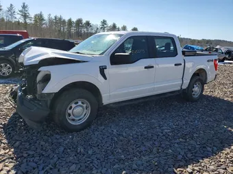 2021 Ford F-150 1FTEW1EB1MKE18677 Lot 75452295