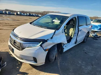 2023 Honda Odyssey 5FNRL6H81PB072719 Lot 45479966