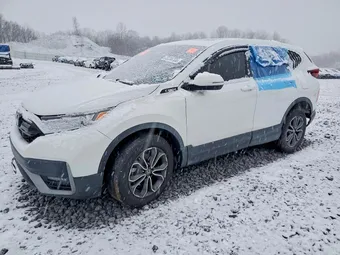 2020 Honda CR-V 5J6RW2H80LL039499 Lot 73233725