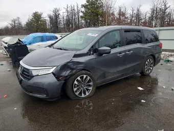 2023 Honda Odyssey 5FNRL6H63PB058318 Lot 41788156