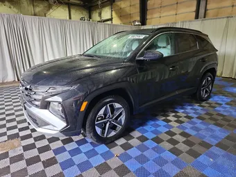2025 Hyundai Tucson 5NMJBCDE5SH483820 Lot 41704376