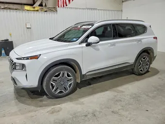 2023 Hyundai Santa Fe 5NMS3DA10PH014098 Lot 77134695