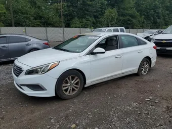 2017 Hyundai Sonata 5NPE24AF9HH563332 Lot 69447835