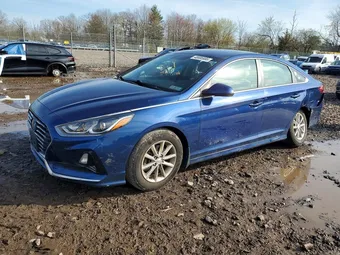 2019 Hyundai Sonata 5NPE24AFXKH798183 Lot 48686986