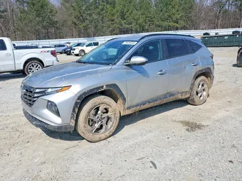 2024 Hyundai Tucson 5NMJBCDE3RH295615 Lot 79625835