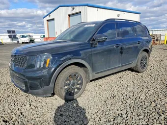 2024 Kia Telluride 5XYP5DGC3RG517047 Lot 78672575
