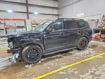 2024 Kia Telluride 5XYP5DGC3RG479366 Lot 75494485