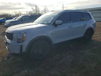 2021 Kia Telluride 5XYP5DHC6MG122741 Lot 47053356