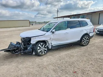 2021 Kia Telluride 5XYP6DHCXMG177450 Lot 48287786