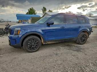 2024 Kia Telluride 5XYP5DGC6RG473612 Lot 96514995
