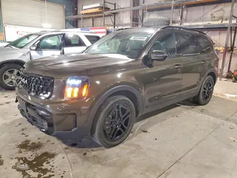 2024 Kia Telluride 5XYP5DGC8RG442779 Lot 46026896