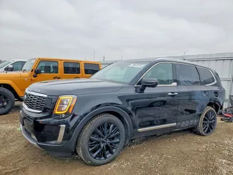 2020 Kia Telluride 5XYP5DHC9LG019280 Lot 79347875