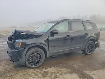 2025 Kia Telluride 5XYP5DGC7SG715166 Lot 45479906