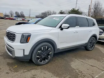 2023 Kia Telluride 5XYP5DGC1PG365539 Lot 79822655