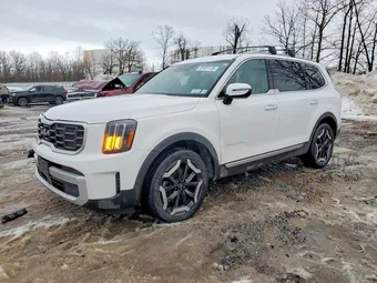 2024 Kia Telluride 5XYP6DGC4RG502604 Lot 78101115