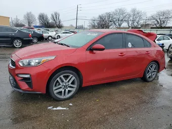 2019 Kia Forte 3KPF34AD0KE028613 Lot 79903475