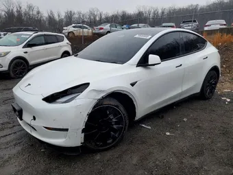 2023 Tesla Model Y 7SAYGAEE0PF749419 Lot 79509955