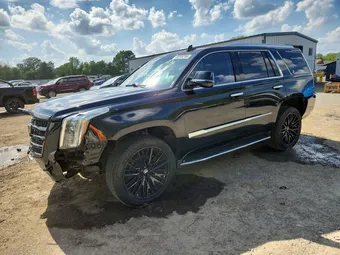 2019 Cadillac Escalade 1GYS4BKJ9KR174124