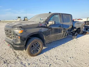 2022 Chevrolet Silverado 1500 3GCPDCEK1NG646469 Lot 79463625