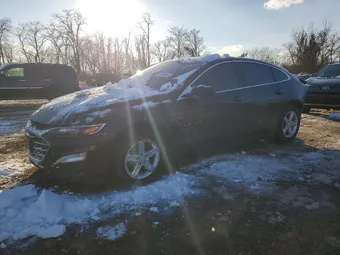 2020 Chevrolet Malibu 1G1ZB5ST1LF137738 Lot 74330465