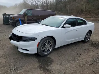 2015 Dodge Charger 2C3CDXJG5FH891496 Lot 49637726