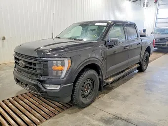 2022 Ford F-150 1FTFW1E8XNFC23311 Lot 72684905