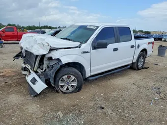 2016 Ford F-150 1FTEW1EF3GKF46085 Lot 49834736