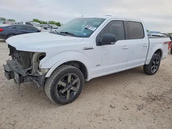 2015 Ford F-150 1FTEW1EG7FKD33681 Lot 48107826