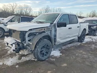 2024 Ford F-150 1FTEW2LP4RFA25535 Lot 74384585