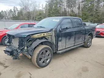 2020 Ford F-150 1FTEW1EP7LKE75590 Lot 48006596