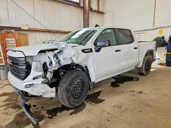2024 GMC Sierra 1500 1GTPUAEK8RZ389577 Lot 50180196