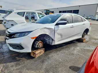 2020 Honda Civic 2HGFC2F84LH554718 Lot 48777186