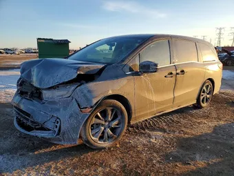 2024 Honda Odyssey 5FNRL6H77RB060634 Lot 74488595