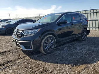 2020 Honda CR-V 2HKRW2H41LH206993 Lot 47826646