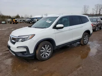 2020 Honda Pilot 5FNYF6H5XLB021965 Lot 48565916