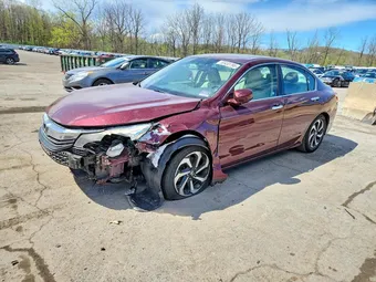 2016 Honda Accord 1HGCR2F81GA006973 Lot 50432796