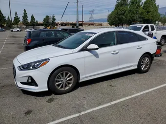 2019 Hyundai Sonata 5NPE24AF5KH745844 Lot 49835236