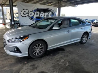 2019 Hyundai Sonata 5NPE24AF4KH795540 Lot 92853985