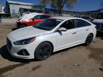 2019 Hyundai Sonata 5NPE34AF4KH817484 Lot 53129934
