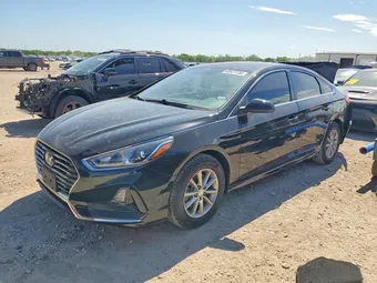 2019 Hyundai Sonata 5NPE24AF7KH789893 Lot 48927736