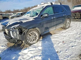 2020 Hyundai Palisade KM8R5DHE1LU168609 Lot 75981945