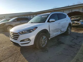 2017 Hyundai Tucson KM8J33A40HU529012 Lot 74426685