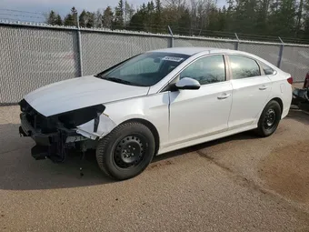 2018 Hyundai Sonata 5NPE24AF4JH616895 Lot 49235956