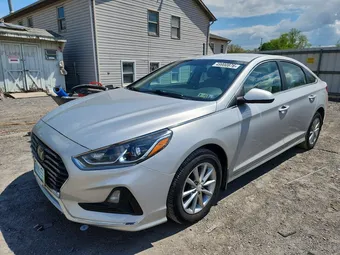 2019 Hyundai Sonata 5NPE24AF7KH790400 Lot 49900876
