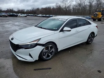 2023 Hyundai Elantra 5NPLS4AG3PH086184 Lot 41885576