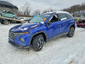 2023 Hyundai Tucson 5NMJECAE4PH287516 Lot 98368005